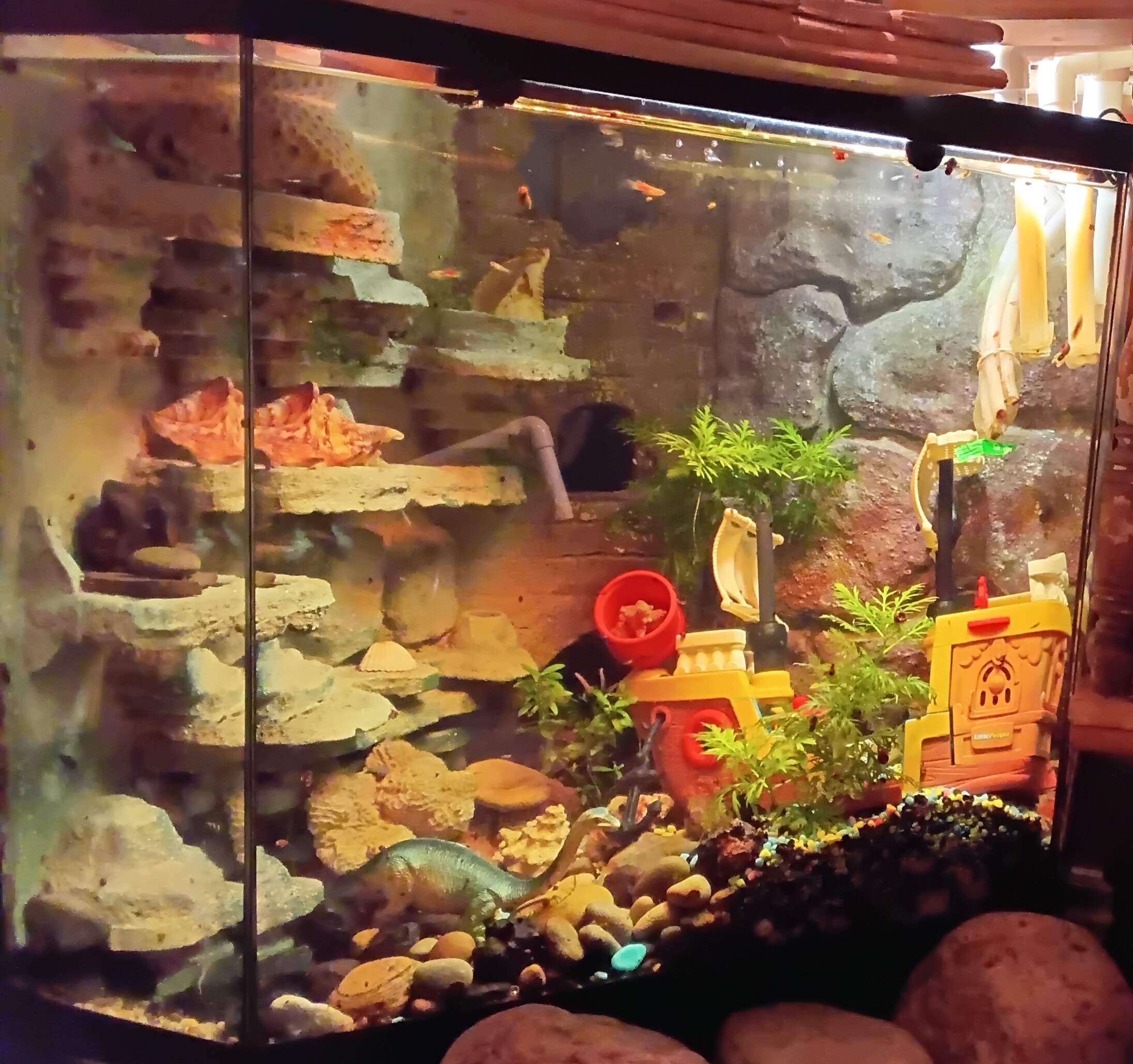 Aquarium